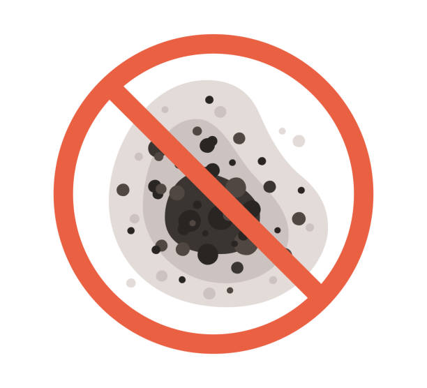Best Comprehensive Air Testing for Mold Contaminants  in North Brooksville, FL