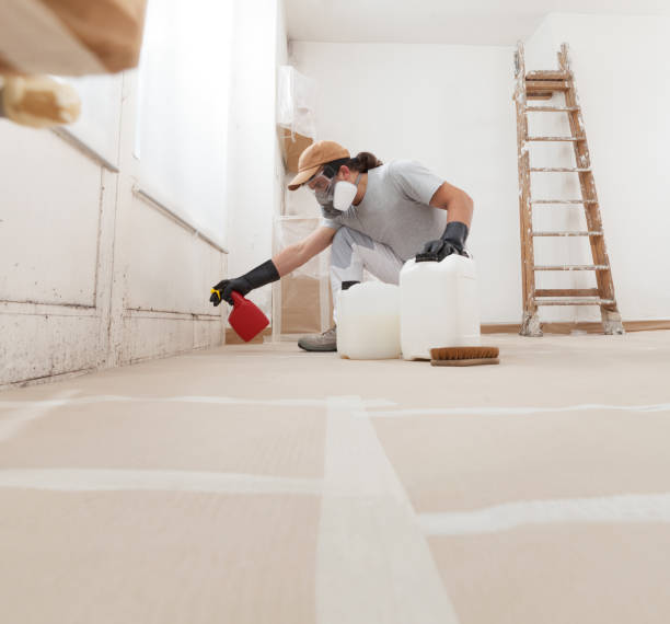 Best Water Damage & Mold Remediation  in North Brooksville, FL